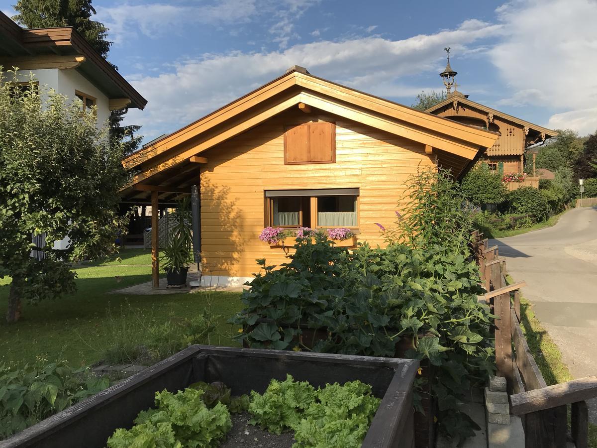 Ferienhaus Hofwimmer Kirchberg in Tirol Exterior photo